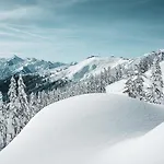 Molly By We Rent Chalet