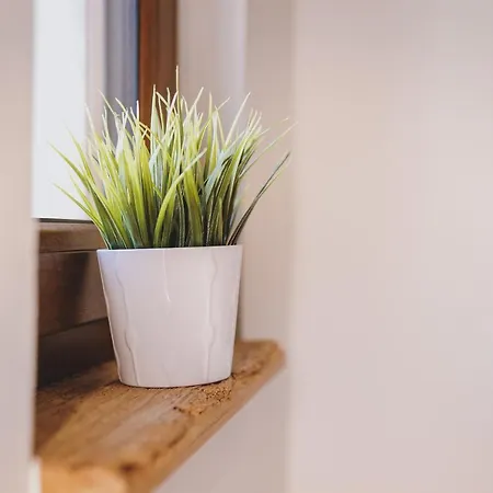 Domek alpejski Molly By We Rent *